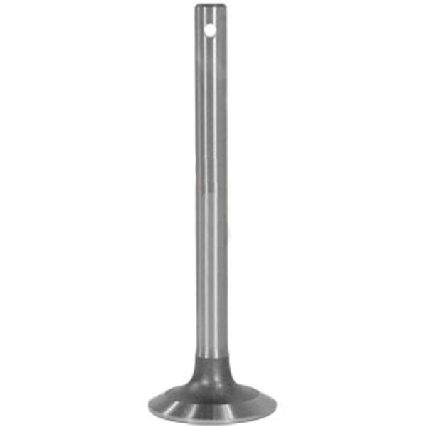 Aftermarket Valve, Intake A-1750070M1-AI - main